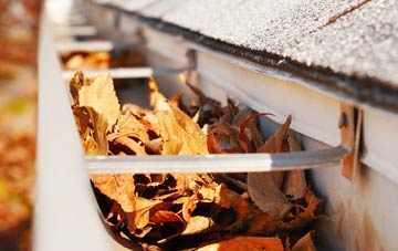 Salhouse gutter cleaning companies